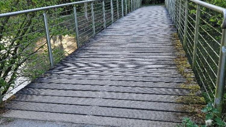 Brücke Tiergehege